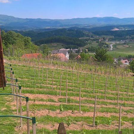 Vineyard Cottage Lustek Novo Mesto Dış mekan fotoğraf