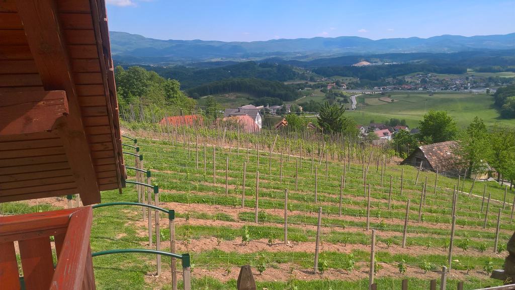 Vineyard Cottage Lustek Novo Mesto Dış mekan fotoğraf